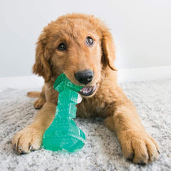 KONG Dental Squeezz Ball Dog Chew – Medium Teal