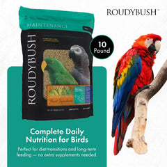 Roudybush Daily Maintenance Bird Food Small Pellets – 10 lb