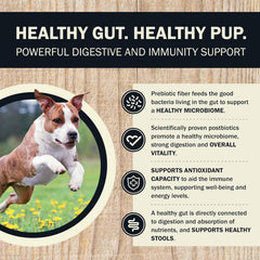 Redbarn® Beef & Lamb Gut Health 2 lbs
