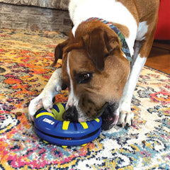 KONG Goodiez Treat Dispenser Ring Dog Toy – Medium