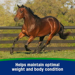 Farnam® Weight Builder – 22.5 lbs (90-Day Supply)