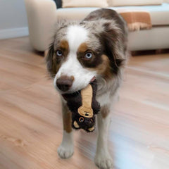 KONG Snuzzles Mini Dog Toy – Sea Otter (Small)