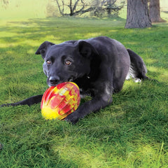 KONG Sport FlexBall – Medium (Football)