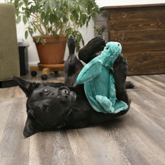 KONG SoftSeas Turtle Dog Toy – Large