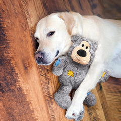 KONG Wild Knots Bear Assorted color Dog Toy – X-Small
