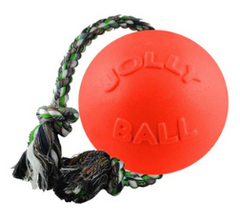 Jolly Pets® Romp-N-Roll Interactive Dog Toy – Orange