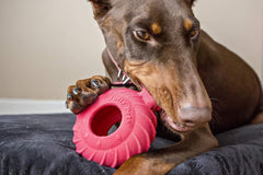 Jolly Pets® Jolly Tuff Treader
