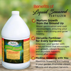 Medina® Liquid Seaweed