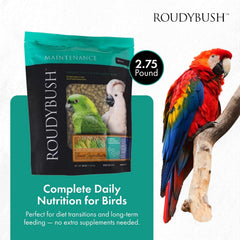 Roudybush Daily Maintenance Bird Food Medium Pellets – 2.75 lb