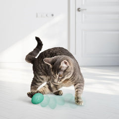 KONG Infused Catnip Egg Cat Toy – Catnip-Infused Interactive Cat Toys (2 Pack)