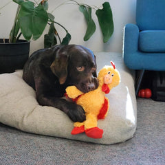 KONG Knots Chicken Dog Toy – Extra Large