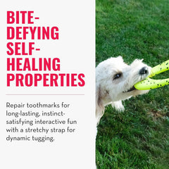 KONG Reflex Flyer – Durable Dog Fetch Toy