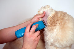 Andis® Cordless Pulse Li5 Clipper