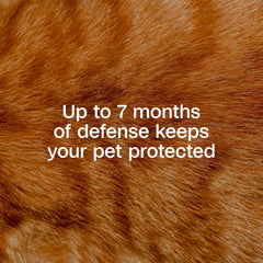 ADAMS Plus Flea & Tick Collar for Cats – 1 Count