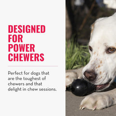 KONG Goodie Bone – Extreme