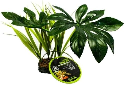 Multi Pet 48593205: Komodo Jungle Canopy Plant