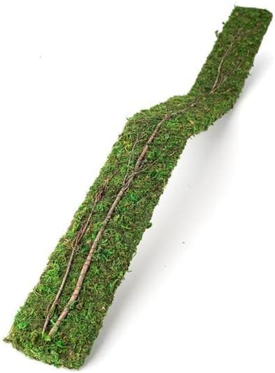 Galápagos Flexible Bridge Terrarium Ornament, Green