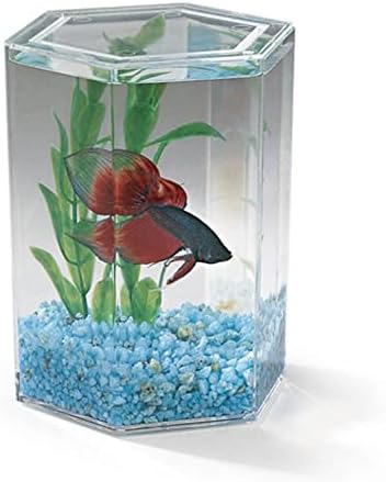 Lee's Bulk Betta Hex