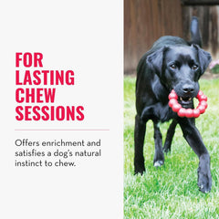 KONG Ring Dog Toy – X-Large