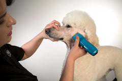 Andis® Cordless Pulse Li5 Clipper