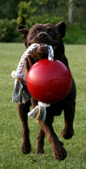 Jolly Pets® Romp-N-Roll Interactive Dog Toy – Orange
