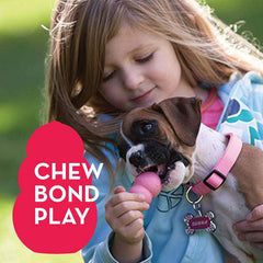 KONG Puppy Toy – Small Assorted color