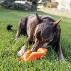 KONG Squeakz Star Dog Toy – Large Orange