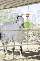 Horsemen's Pride® Jolly Stall Snack Combo Horse Toy