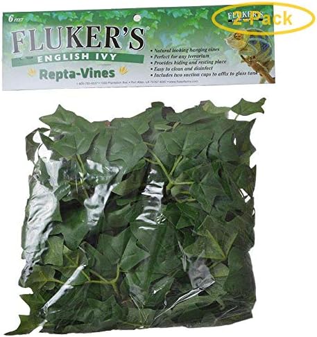 Fluker's REPTA Vine English Ivy