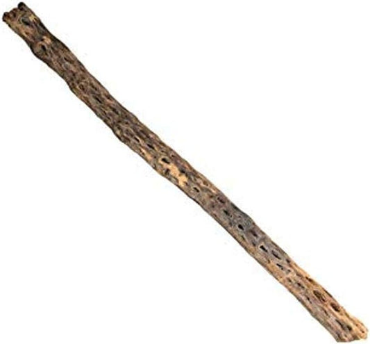 Galápagos Branched Cholla Wood for Aquarium, Natural 36 in