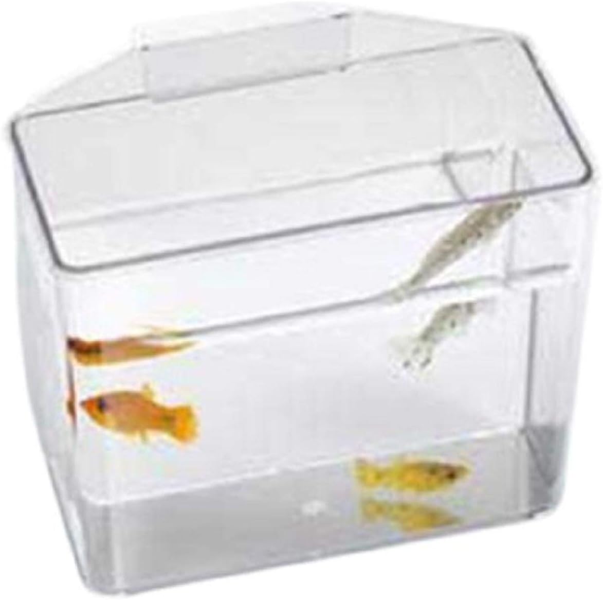 Lee's Pet Products ALE10516 Heavy Duty Specimen Container for Aquarium, Small