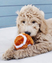 SPOT Plush Football Dog Toy