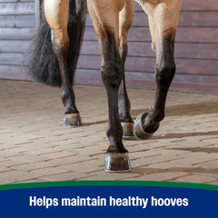 Farnam® Horseshoer’s Secret®