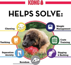 KONG Puppy Toy – Small Assorted color