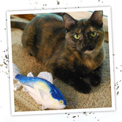 SMARTERPAW Meowijuana Get Hooked Kahuna Tuna Toy