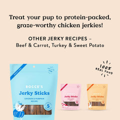 Bocce's Bakery Jerky Stick Dog Treats – Chicken & Pumpkin, 4 oz