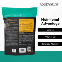 Roudybush Daily Maintenance Bird Food Mini Pellets – 10 lb