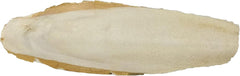 A&E Cage Cuttlebone 4-6 5lb 4-6 in. Cuttle Bone Piece44; 5 lbs