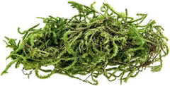 Galápagos (05213) Terrarium Green Sphagnum Moss, Natural