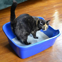 Van Ness Pets Large Open High Sided Cat Litter Box