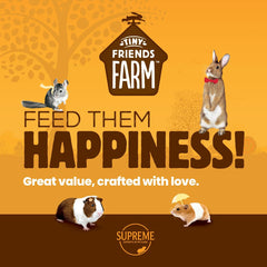 Supreme Petfoods Tiny Friends Farm Gerty Guinea Pig Tasty Nuggets