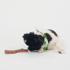 SPOT Bam-Bones Plus Branch -Bamboo Fiber & Nylon, Durable Long Lasting Dog Chew for Aggressive Chewers – Great Toy for Adult Dogs & Teething Puppies Under 60lbs, Non-Splintering, Beef Flavor