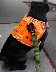 Boss Dog Tactical Harness, Green Camo