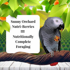 Lafeber's Gourmet Sunny Orchard Nutri-Berries ,10 oz bag