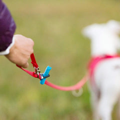 Curli Adjustable Leash Nylon Black