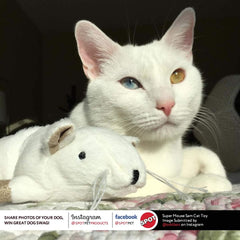 SPOT Super Mouse Sam with Catnip - Lifelike Cat Toy, Fuzzy Mice with Catnip and Crinkle Sound, Extra Large Size for Cuddling, Kicking, Chasing, Playing - 11in Plush Toys, Assorted Colors
