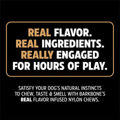 Pet Qwerks Nylon Stick BarkBone - Durable Dog Toys for Aggressive Chewers - Peanut Butter Flavor