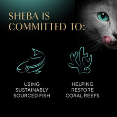 Sheba Perfect Portions Kitten Wet Cat Food Pate Chicken Entree, Twin-Pack Tray 1 Count, 2 Servings 2.6-oz(Pack of 12)