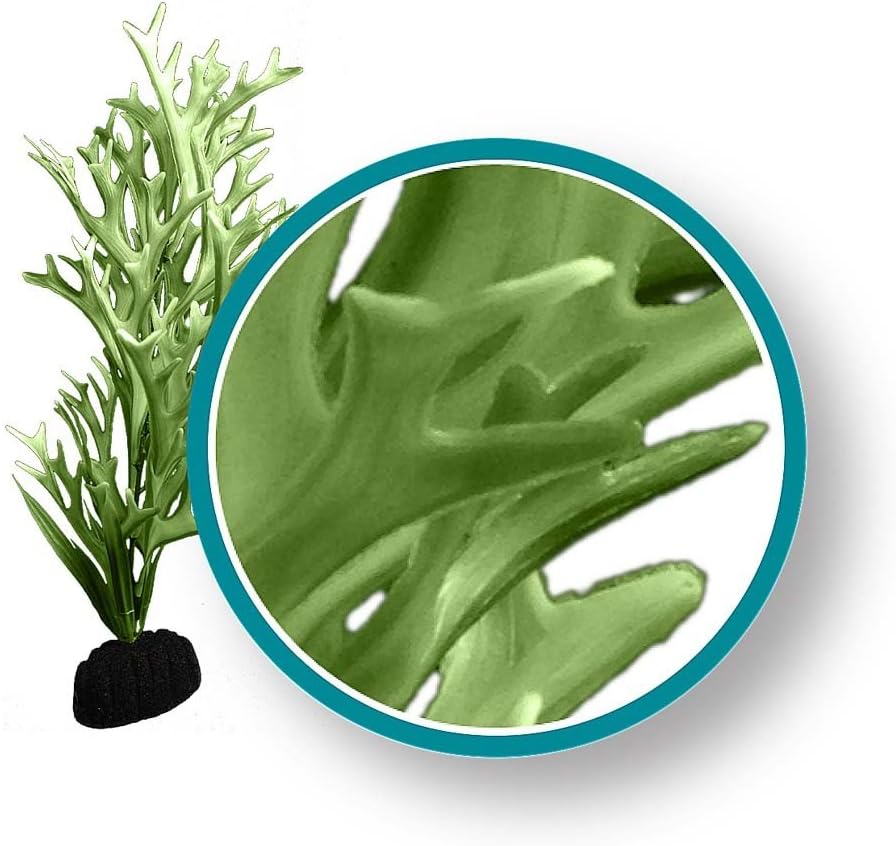 Weco Plant Green Giant Kelp Ornament, 9"