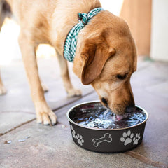 Loving Pets Espresso Bella Bowl